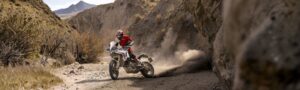 Ducati DesertX 2026